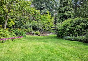 Optimiser l'expérience du jardin à Welles-Perennes